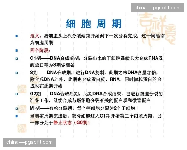 赛事认证体系重要性：G1、G2级别如何影响运动员国际排名与参赛选择