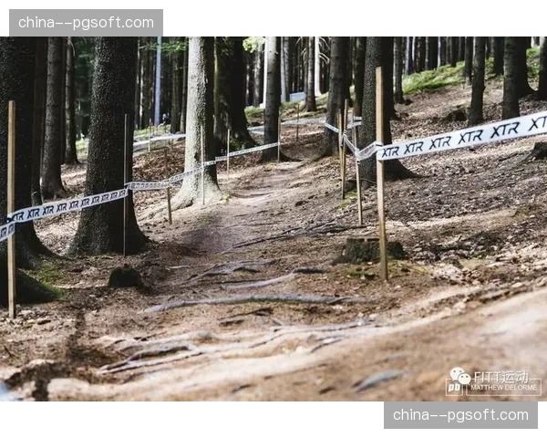 通讯：一条世界杯赛道如何带动巴西小镇的旅游业发展